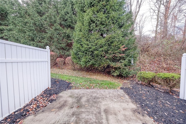 view of yard with a patio