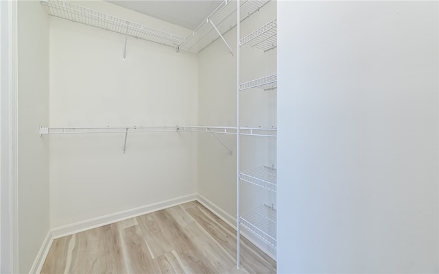 walk in closet featuring hardwood / wood-style floors