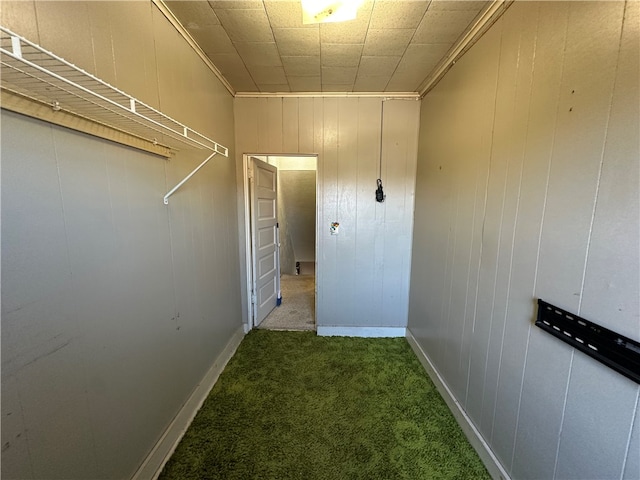 interior space featuring carpet flooring, ornamental molding, and wooden walls