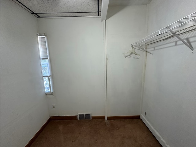 spacious closet featuring a paneled ceiling and dark carpet