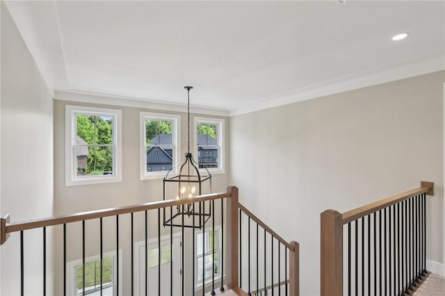 205 Carry Back Ct, Cranberry Twp, PA 16066 - photo 25