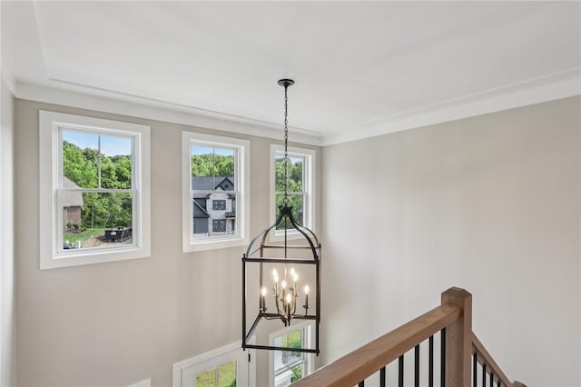 205 Carry Back Ct, Cranberry Twp, PA 16066 - photo 26