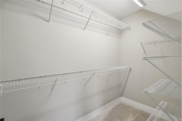 205 Carry Back Ct, Cranberry Twp, PA 16066 - photo 34