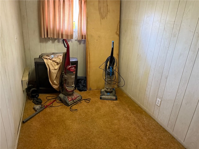 interior space featuring wooden walls and carpet flooring