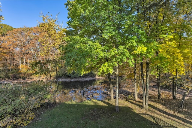 view of yard with a water view