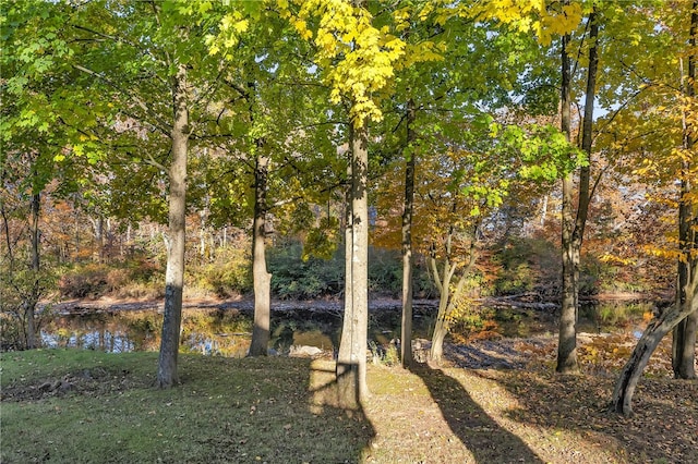 view of yard with a water view