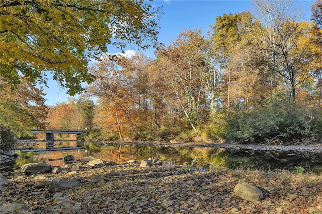 view of yard with a forest view and a water view
