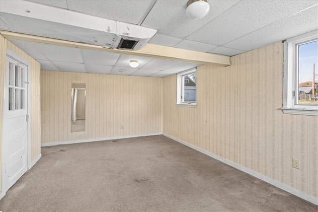 basement featuring carpet flooring and a drop ceiling