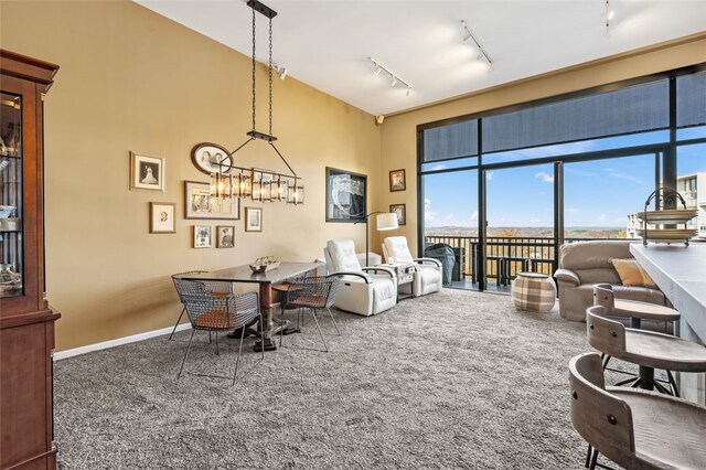 living room featuring carpet flooring and rail lighting