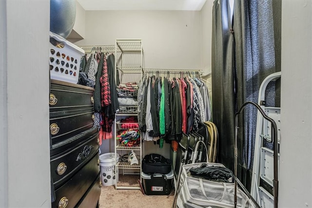 walk in closet featuring carpet flooring