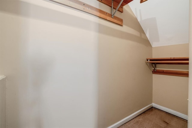 walk in closet featuring carpet flooring