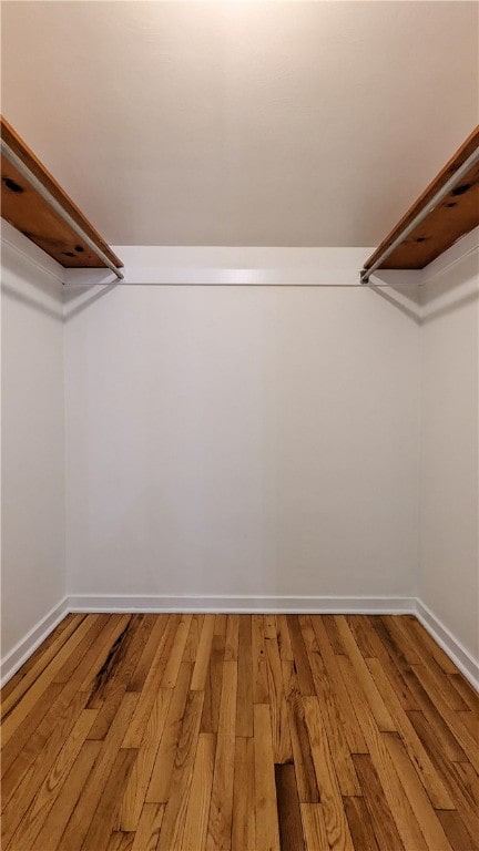 spacious closet featuring hardwood / wood-style flooring