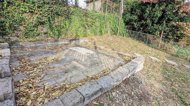 view of yard featuring a patio