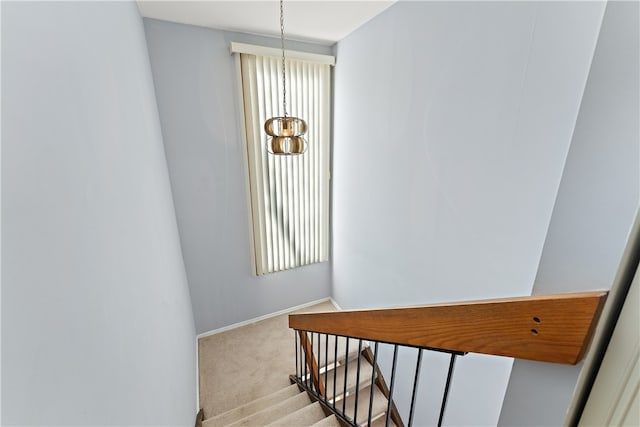 stairs with carpet floors