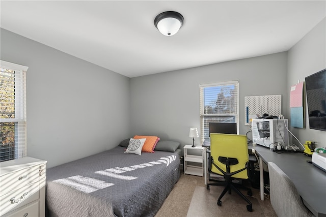 bedroom with carpet flooring