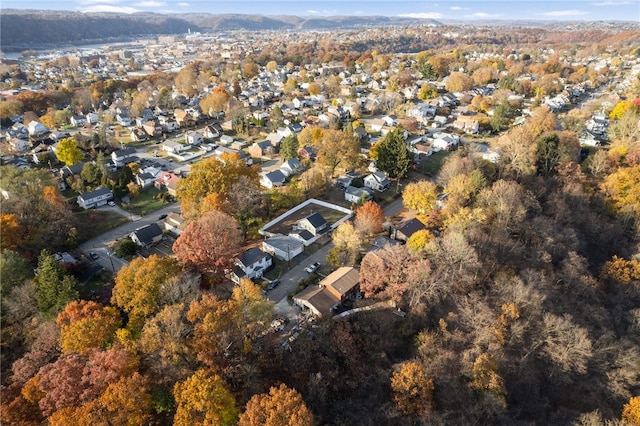 drone / aerial view