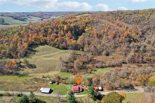 175 Long Woods Rd, Waynsbrg/Frankln Twp, PA 15370 - aerial overview of property's location with a forest