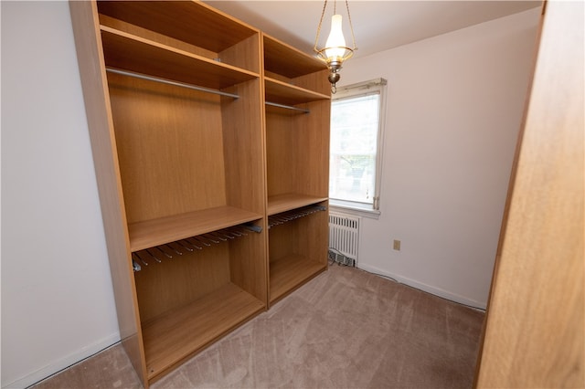 walk in closet with radiator and carpet