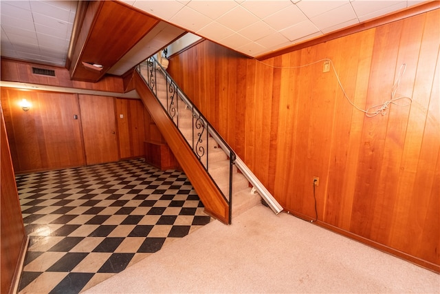 basement with wooden walls