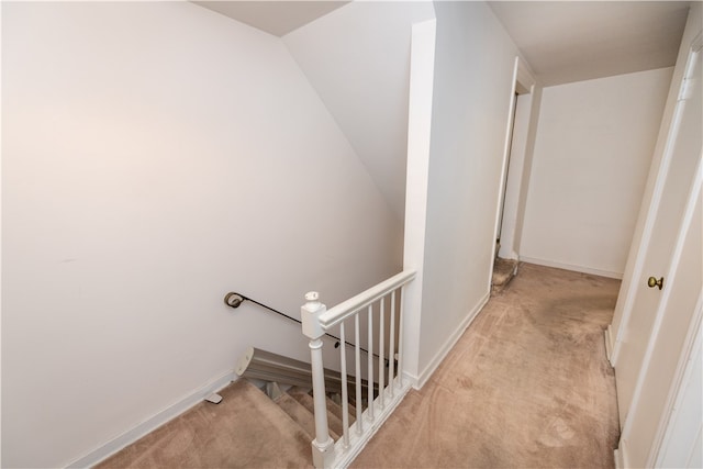 stairway featuring carpet flooring and vaulted ceiling