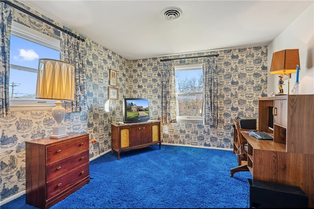 office with dark colored carpet and plenty of natural light