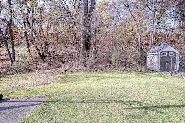 view of yard featuring a shed