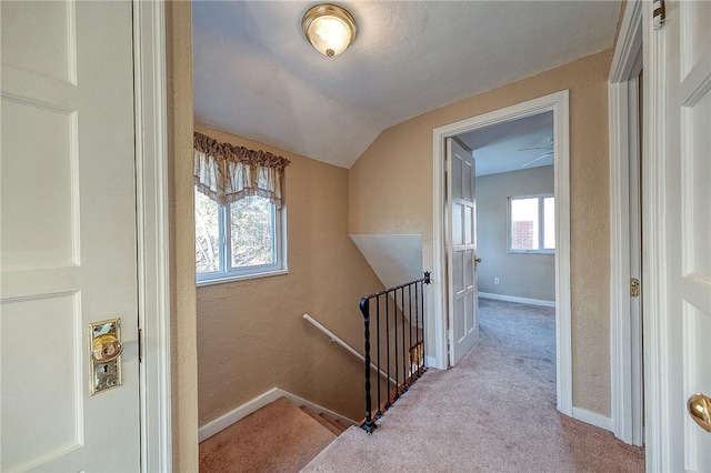 stairway with carpet, vaulted ceiling, and a healthy amount of sunlight