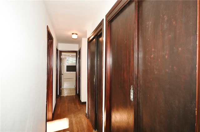 hall featuring dark hardwood / wood-style flooring