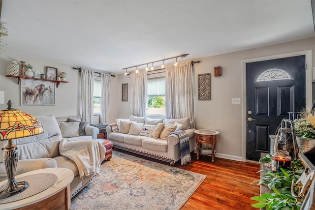 living room featuring hardwood / wood-style flooring