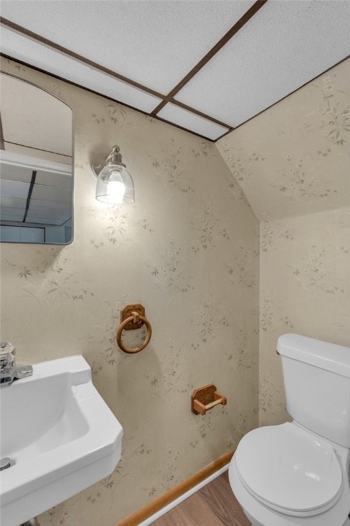 bathroom featuring hardwood / wood-style flooring, toilet, lofted ceiling, and sink