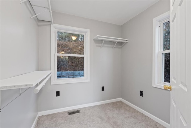 washroom with hookup for an electric dryer and carpet floors