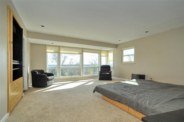 carpeted bedroom with multiple windows