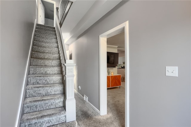 stairs featuring carpet floors