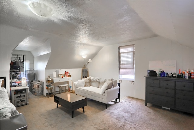 interior space with lofted ceiling and a textured ceiling