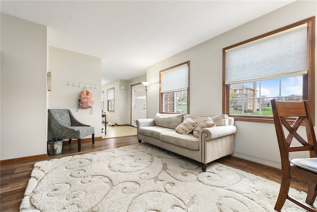 living room with hardwood / wood-style floors