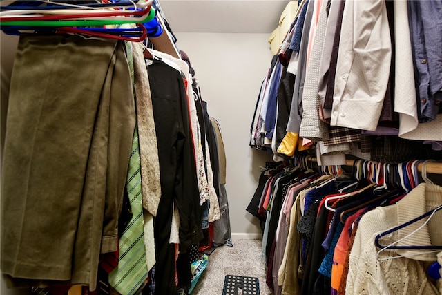 walk in closet with carpet flooring