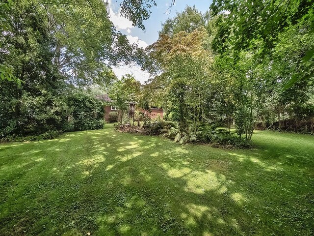 316 Jefferson, Verona, PA 15147 - view of green lawn
