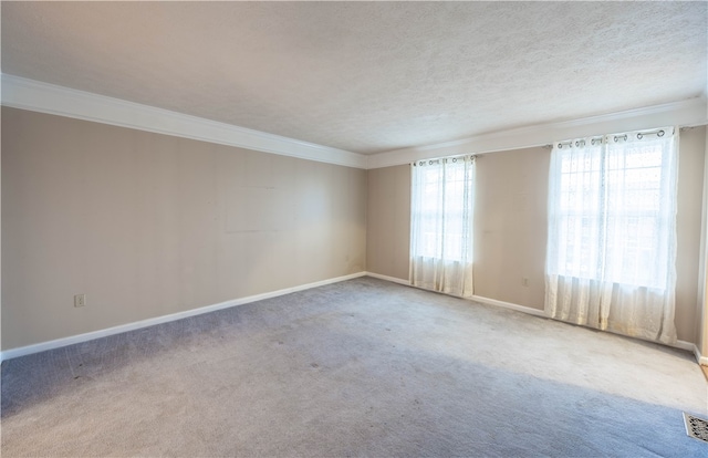 spare room with carpet floors, a textured ceiling, and ornamental molding