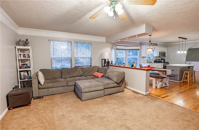 living room with ceiling fan, light hardwood / wood-style floors, crown molding, and a textured ceiling