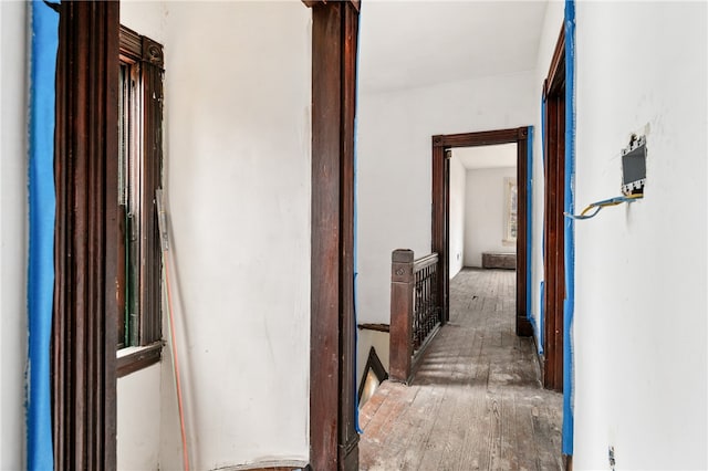 hallway featuring dark hardwood / wood-style flooring