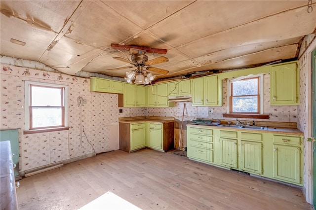 kitchen with ceiling fan, plenty of natural light, light hardwood / wood-style floors, and sink