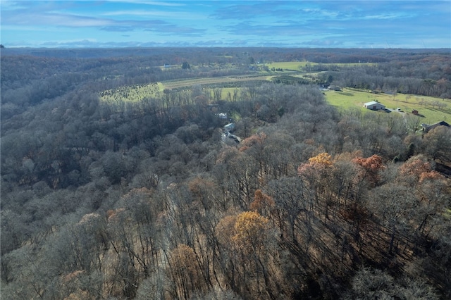 aerial view