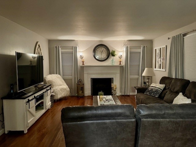 living room with dark hardwood / wood-style flooring