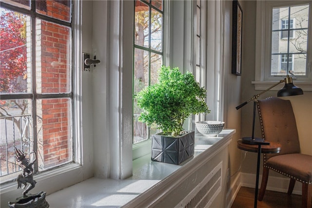 doorway with a healthy amount of sunlight