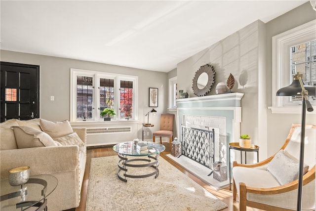 living room featuring radiator heating unit and hardwood / wood-style flooring