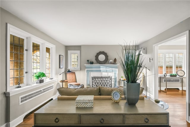 living area with a wealth of natural light and hardwood / wood-style floors