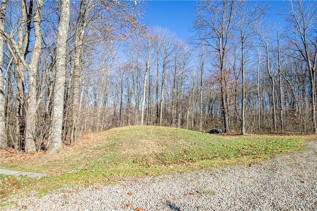 505 Greenbriar Rd, Pa, PA 15431 - view of tree filled area