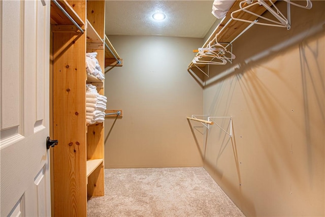 505 Greenbriar Rd, Pa, PA 15431 - spacious closet featuring carpet