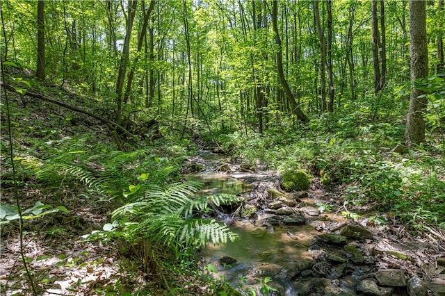 505 Greenbriar Rd, Pa, PA 15431 - view of woods