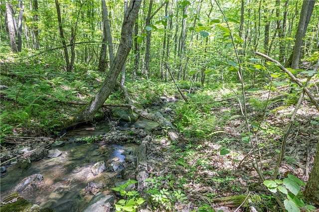 505 Greenbriar Rd, Pa, PA 15431 - view of wooded area
